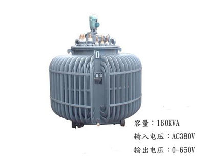 TSJA感應式調(diào)壓器